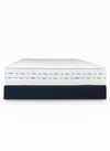 Visco Pedic