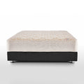 Janssen Cataract mattress 27 cm — connected springs and natural cotton