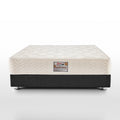 Janssen Extra Gold mattress 24 cm — connected springs